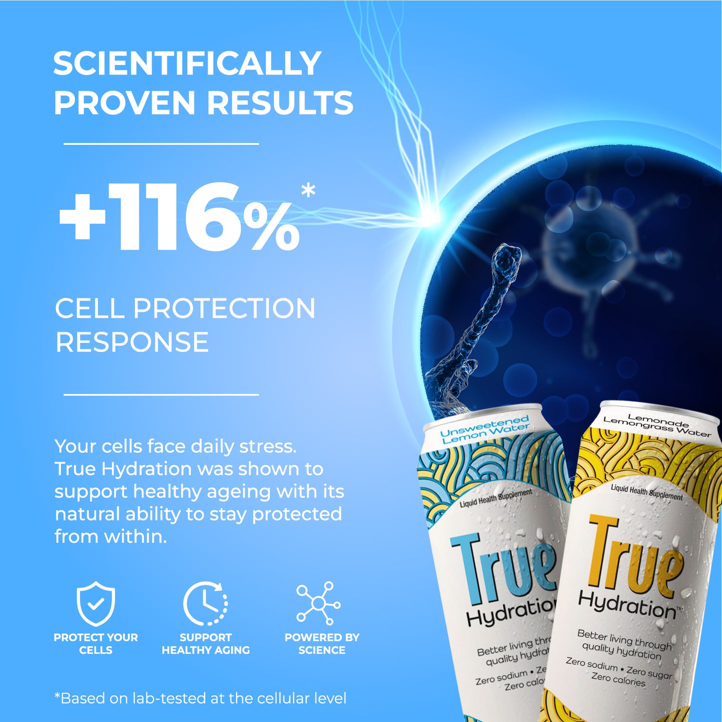 Unsweetened Lemon Water [320ML]